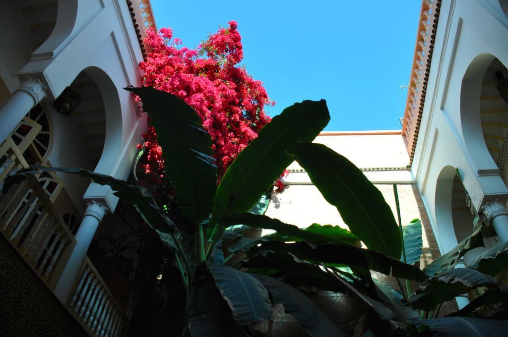 Riad Habib Marrakesh Bagian luar foto